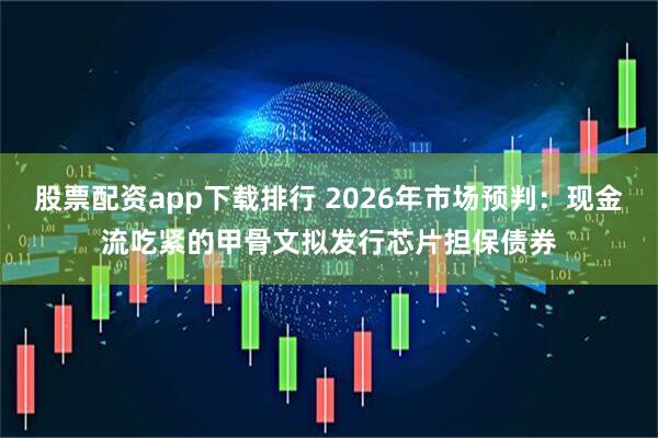 股票配资app下载排行 2026年市场预判:现金流吃紧的甲骨文拟发行芯片担保债券