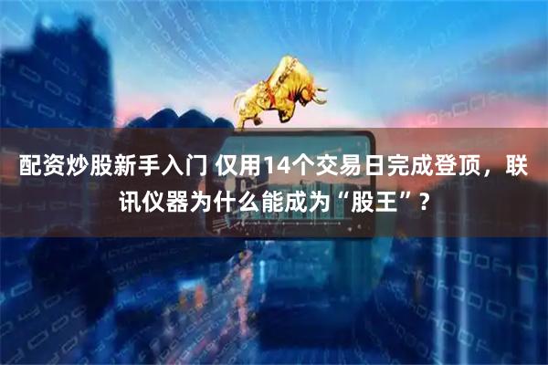 配资炒股新手入门 仅用14个交易日完成登顶,联讯仪器为什么能成为“股王”?